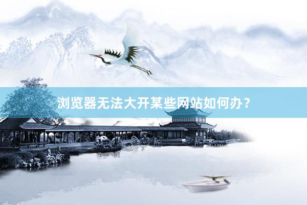 浏览器无法大开某些网站如何办？