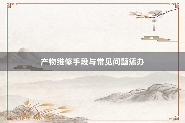 产物维修手段与常见问题惩办